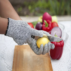 Anti-Scratch Safety Gloves