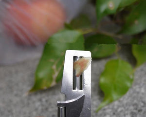 Multi-function Mini Fruit Knife